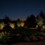 Landscape Lighting